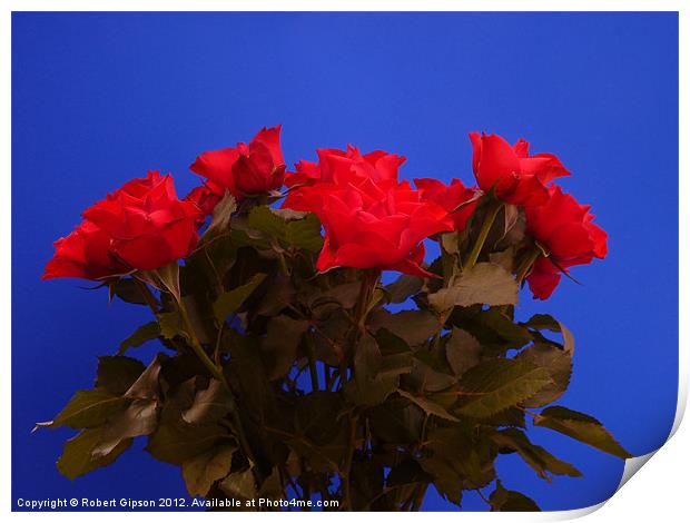 Roses for you Print by Robert Gipson