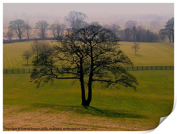 Tree in green field Print by Robert Gipson