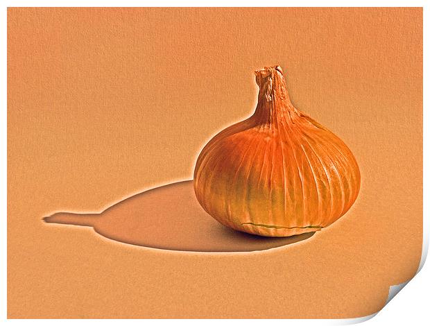 Onion on canvas Print by Robert Gipson
