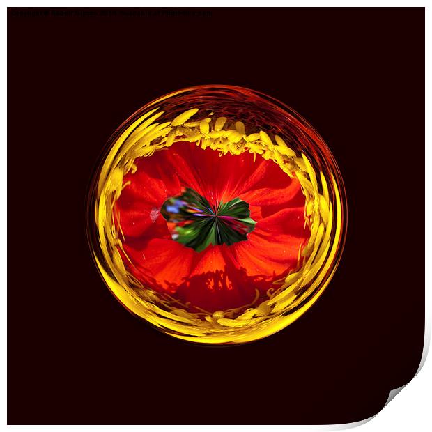  Flower globe in red and yellow Print by Robert Gipson