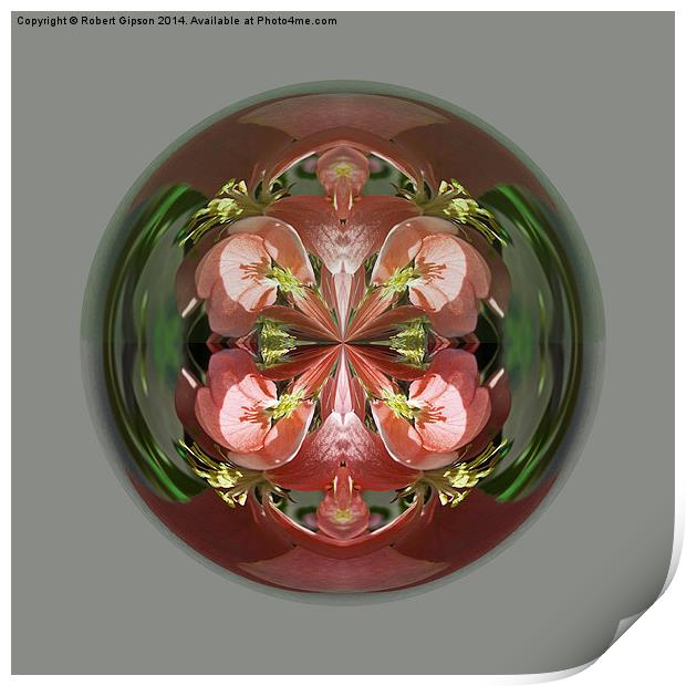  Four Flower Globe Print by Robert Gipson