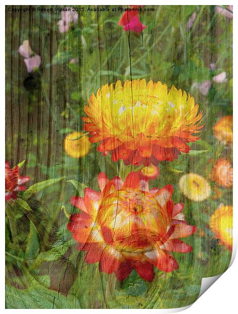  Flowers On Wood. Print by Robert Gipson