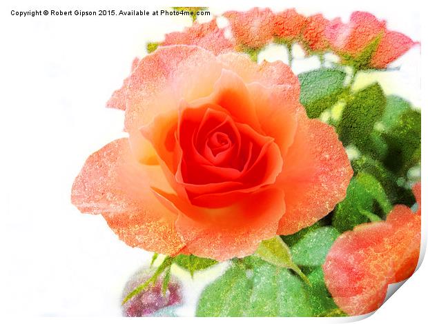  Rose on Texture Print by Robert Gipson