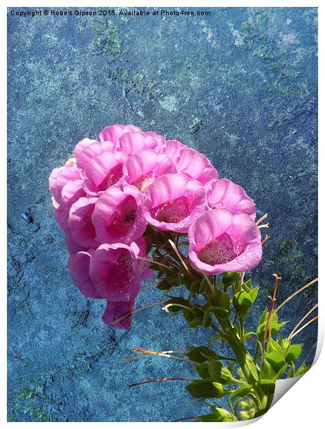   Foxglove with texture reaching for the sky. Print by Robert Gipson