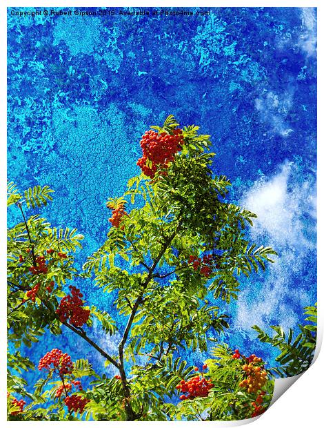  Rowan tree  with be berries and textures Print by Robert Gipson