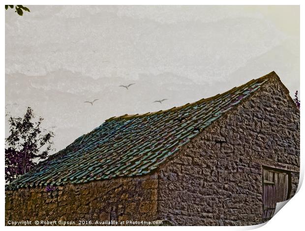 Birds over old Yorkshire roof abstract. Print by Robert Gipson