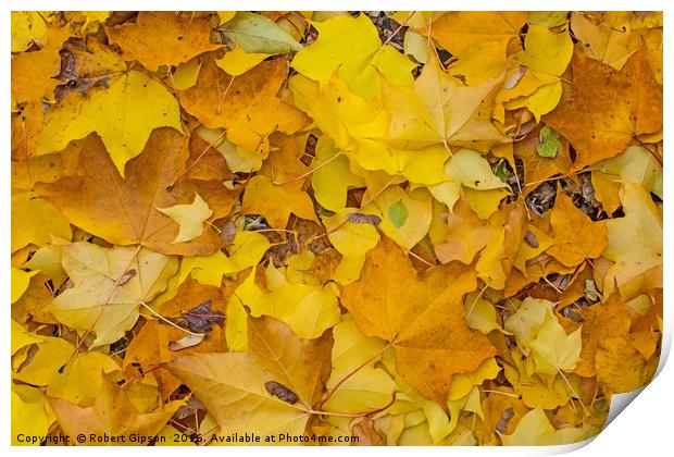 Autumn Leaves Print by Robert Gipson