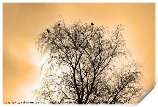 Sepia Roosting birds Print by Robert Gipson
