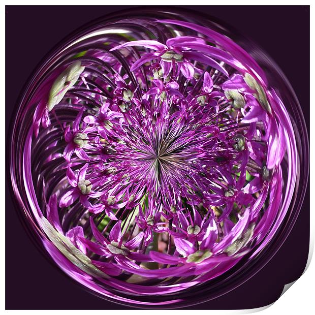 Spherical Purple Haze Print by Robert Gipson