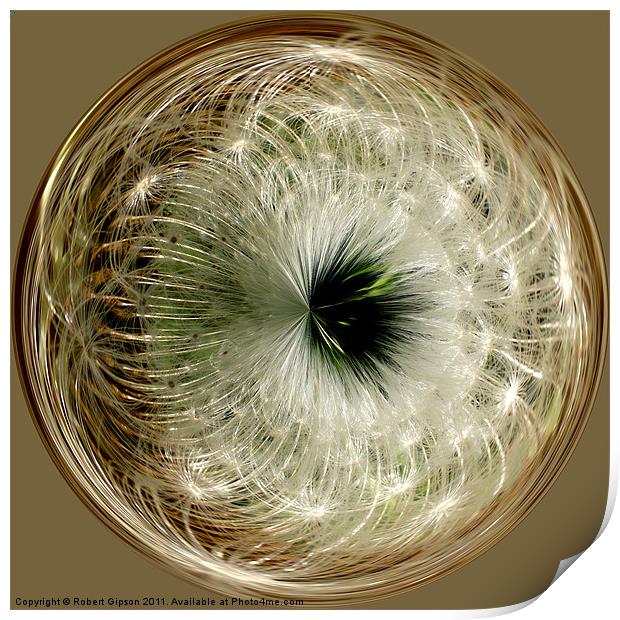 Spherical Paperweight Dandy seeds Print by Robert Gipson