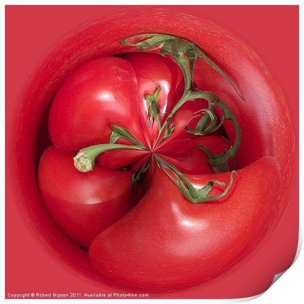Spherical tomatoes Print by Robert Gipson