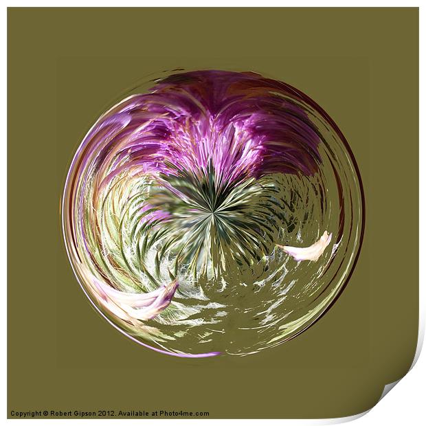 Spherical Paperweight Thistle Sphere Print by Robert Gipson