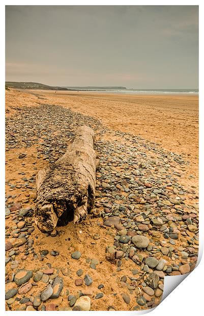 Freshwater West Print by Steve Purnell