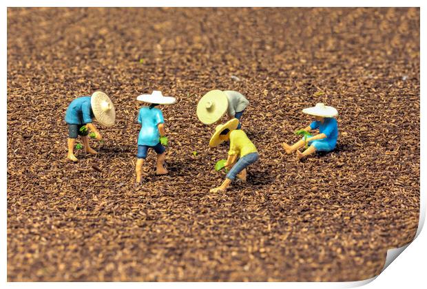 The Magical World of Tiny Rice Farmers Print by Steve Purnell