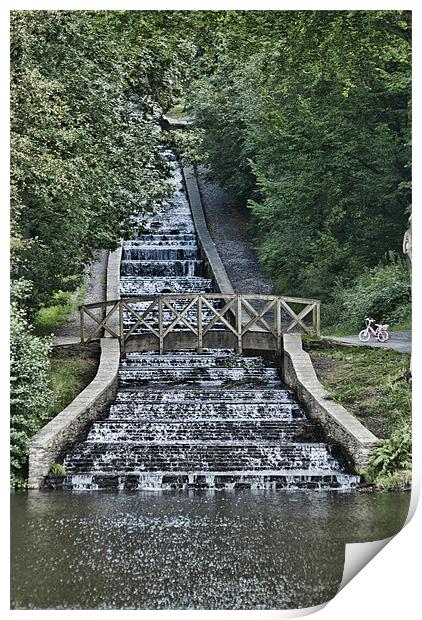 Gnoll Estate Country Park Print by Steve Purnell