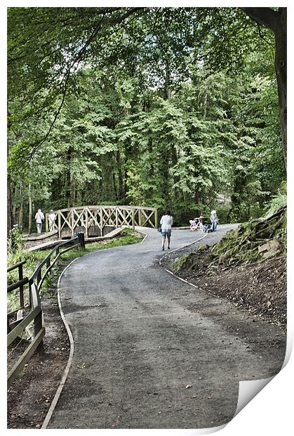 Gnoll Estate Country Park 3 Print by Steve Purnell