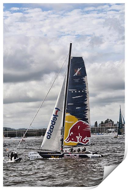 Extreme 40 Team Red Bull Print by Steve Purnell