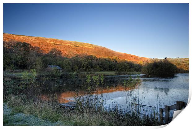 Autumn Pond 3 Print by Steve Purnell