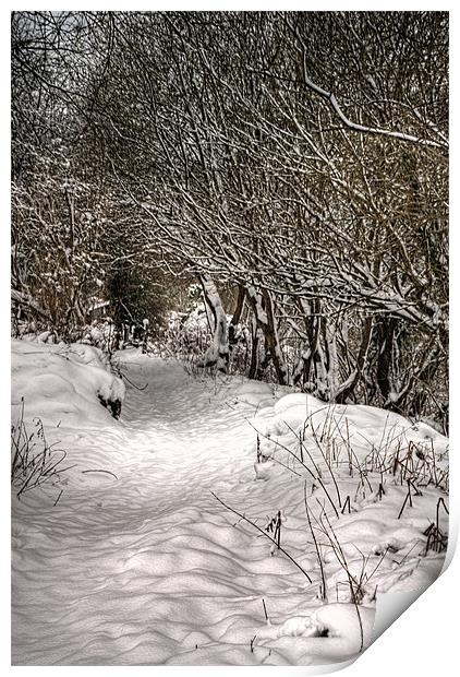 The snow path Print by Steve Purnell