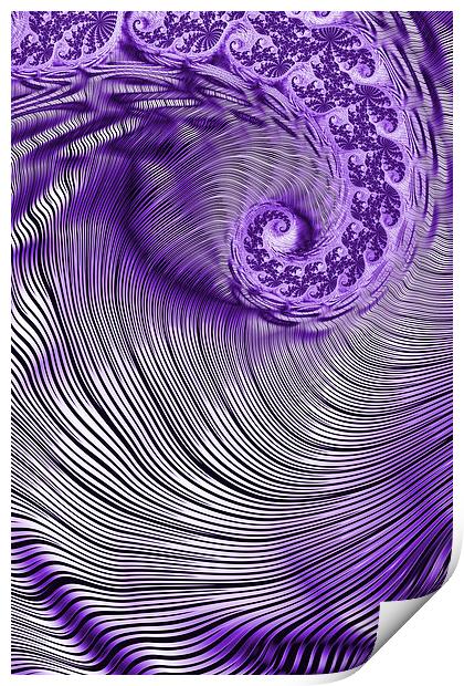 Zebra Swirls 2 Print by Steve Purnell
