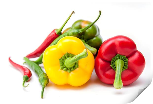 Mixed Peppers 2 Print by Steve Purnell
