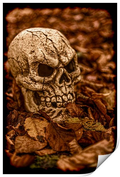 Halloween Skull 2 Print by Steve Purnell
