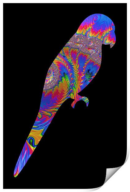 Fractal Parrot on Black Print by Steve Purnell
