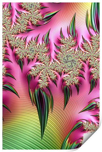 Rainbow Thorns Print by Steve Purnell