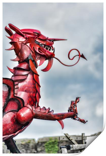 Gareth The Dragon 6 Print by Steve Purnell