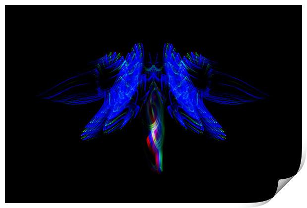 The Light Moth Print by Steve Purnell