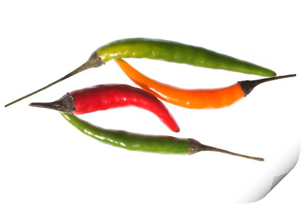 Chilli Mix 2 Print by Steve Purnell
