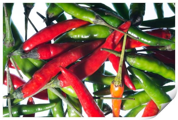 Chilli Riot Print by Steve Purnell