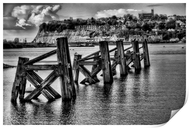 Cardiff Bay Dolphins Monochrome Print by Steve Purnell