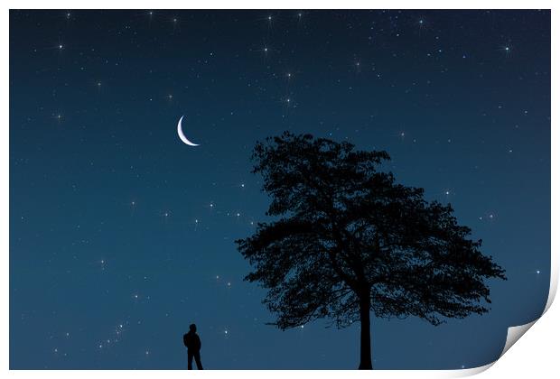 Moonlight Contemplation Print by Steve Purnell