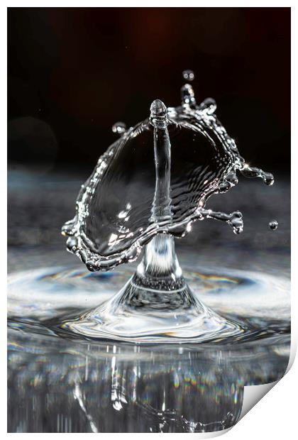 Ring Of Water Print by Steve Purnell