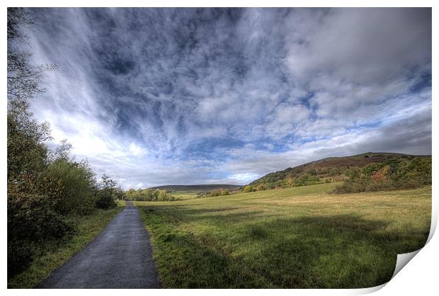 Dare Country Park Print by Steve Purnell