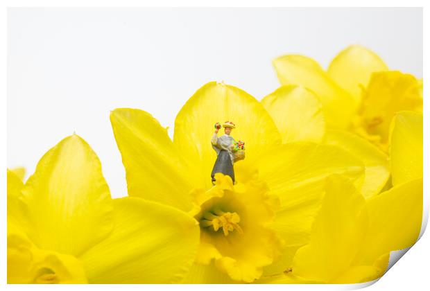 The Flower Lady With Daffodils 1 Print by Steve Purnell