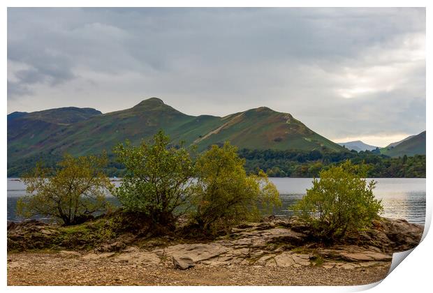 Catbells over Derwentwater Print by Roger Green