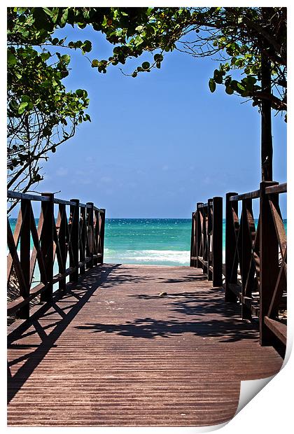 Pathway to Paradise Print by Roger Green