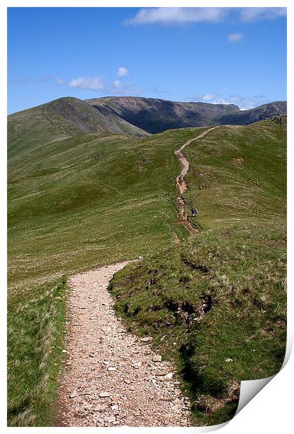 Fairfield Horseshoe Print by Roger Green