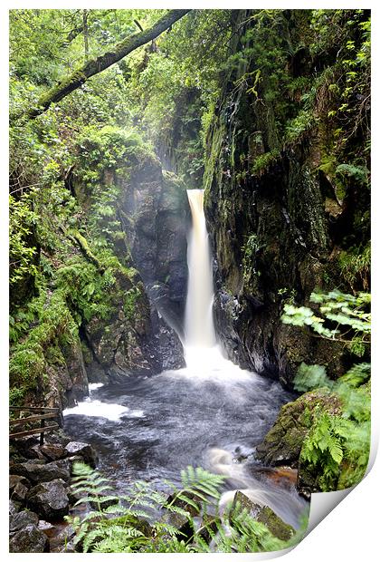 Stanley Ghyll Force Print by Roger Green