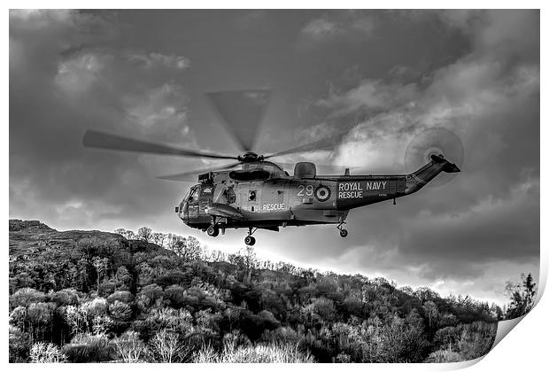 Sea King Helicopter Print by Roger Green