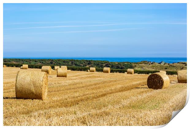 Straw Field at Embleton Print by Roger Green