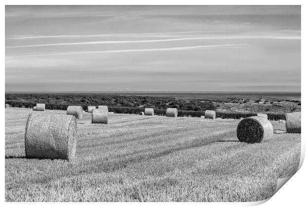 Straw Field at Embleton Print by Roger Green