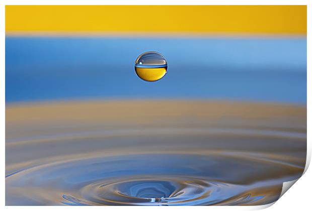 Water Droplet in Blue & Gold Print by Garry Neesam