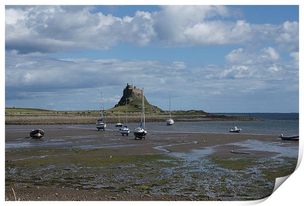 Lindisfarne Castle Print by Dave Parkin