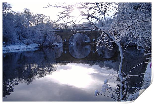 River Wear in winter Print by Dave Parkin