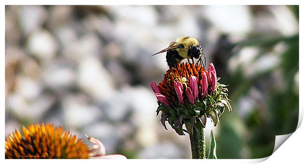 The Art of Bee-ing Print by Sharon Pfeiffer