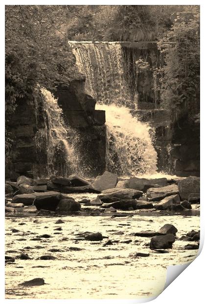 Graig - Neddfwch Falls. Print by Becky Dix