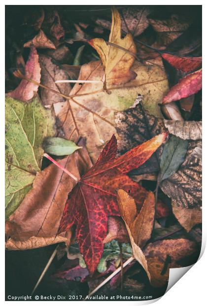 Autumn Leaves. Print by Becky Dix